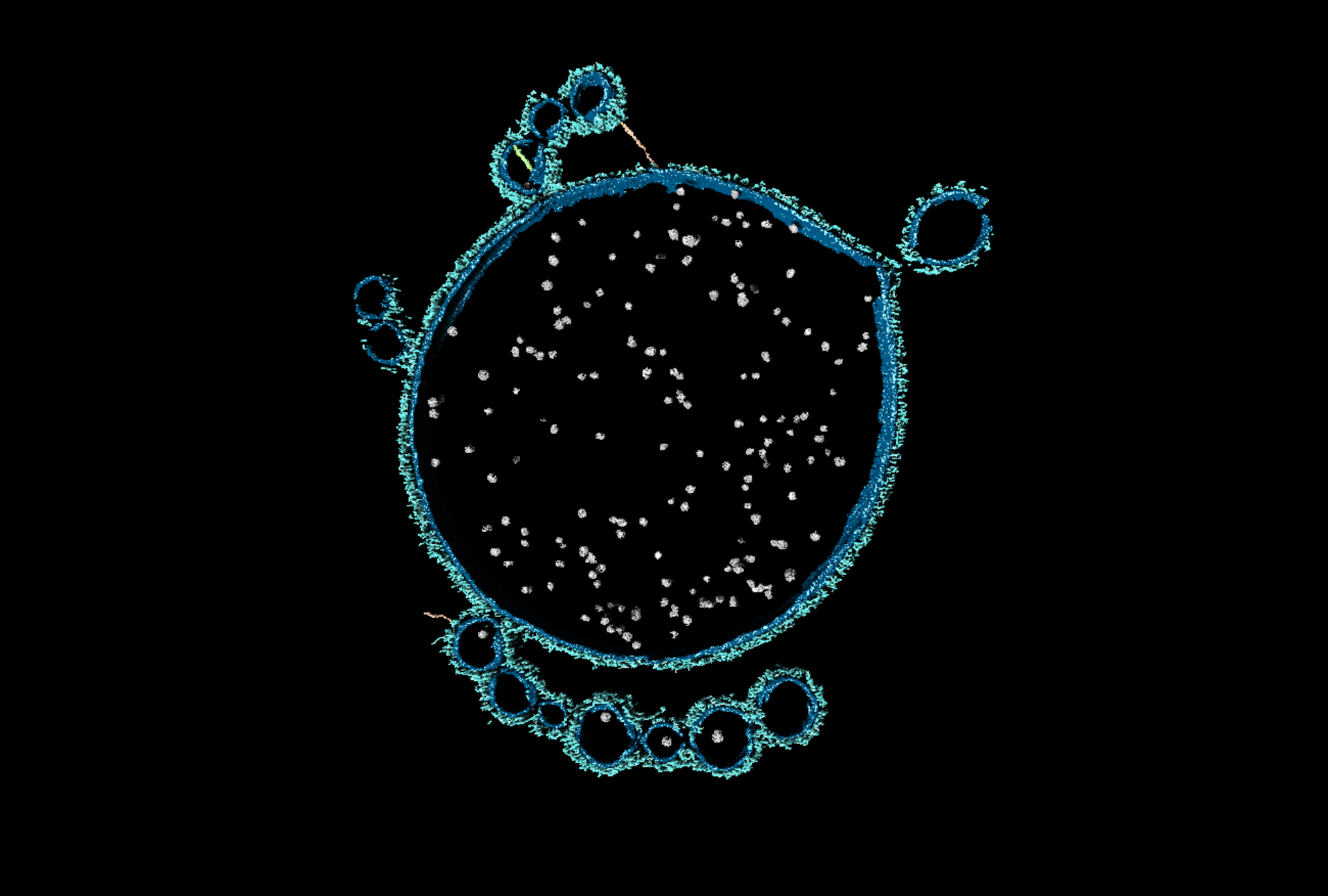 ‘First contact’ that may have led to complex life on Earth finally witnessed by scientists