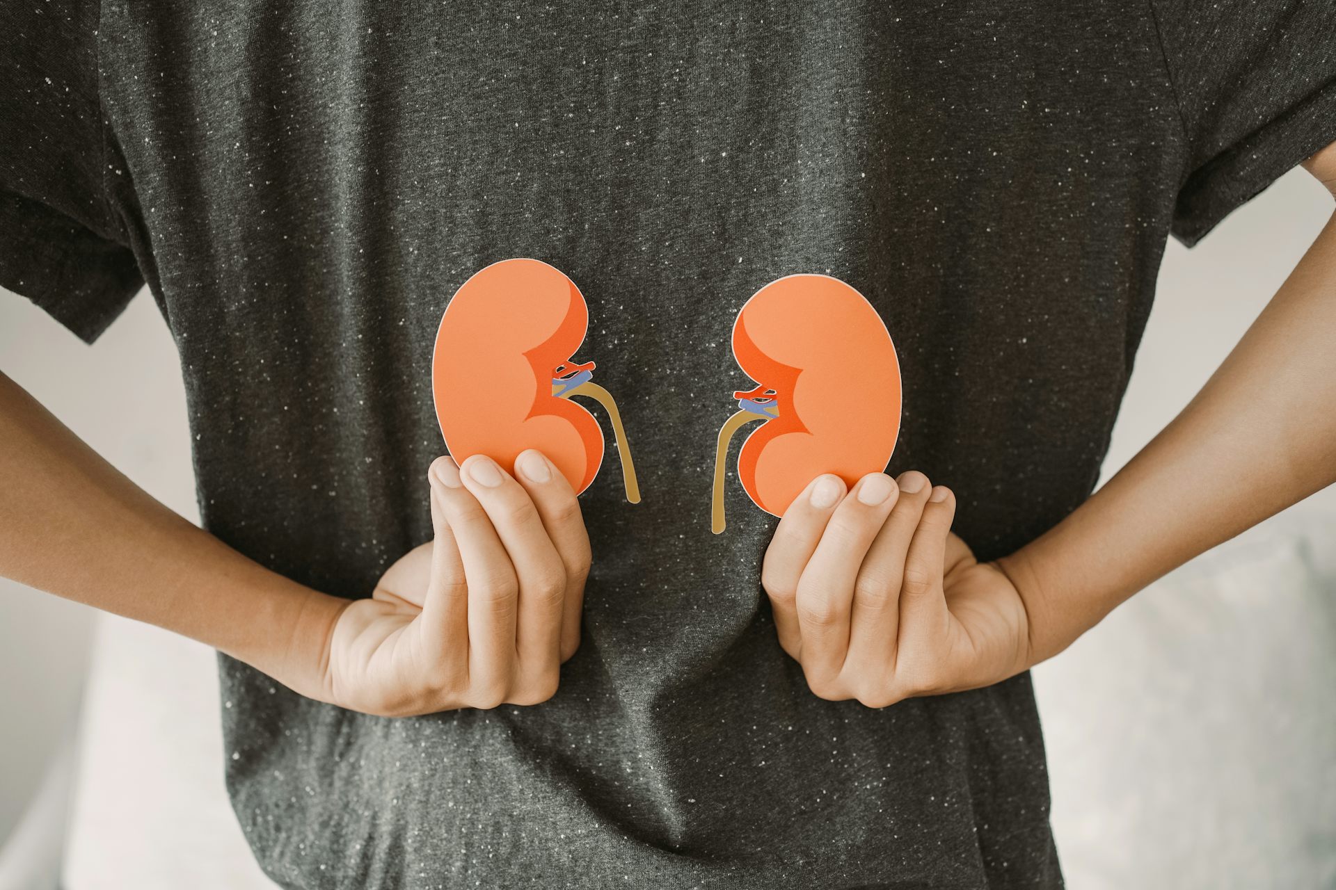 Kidney disease is growing in Africa: big new study casts light on genetic risk factors