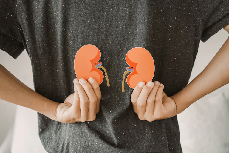 Back view of man holding kidney shape