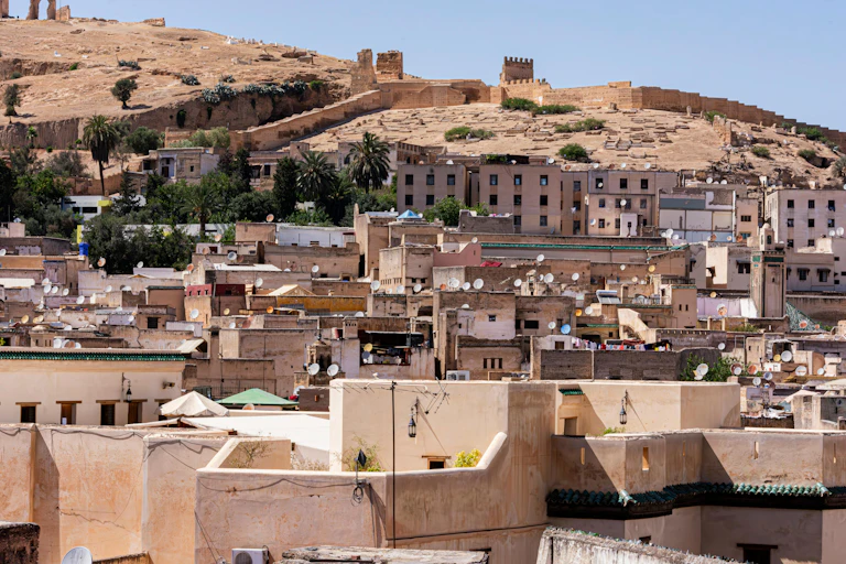 An old city wall on a rocky hill, beneath it a dense array of square and angular old buildings of different sizes