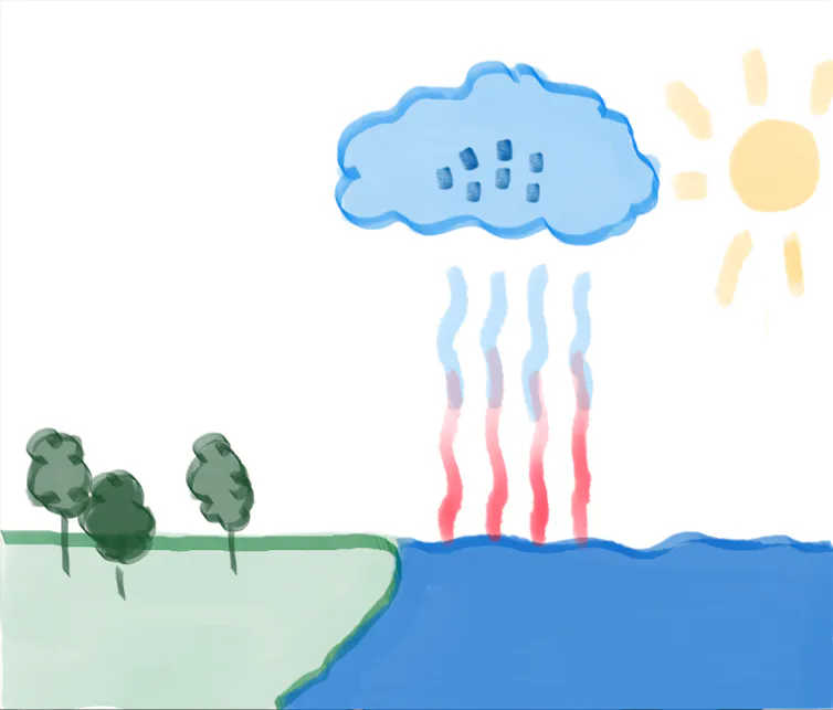 How are raindrops shaped? 1 plan