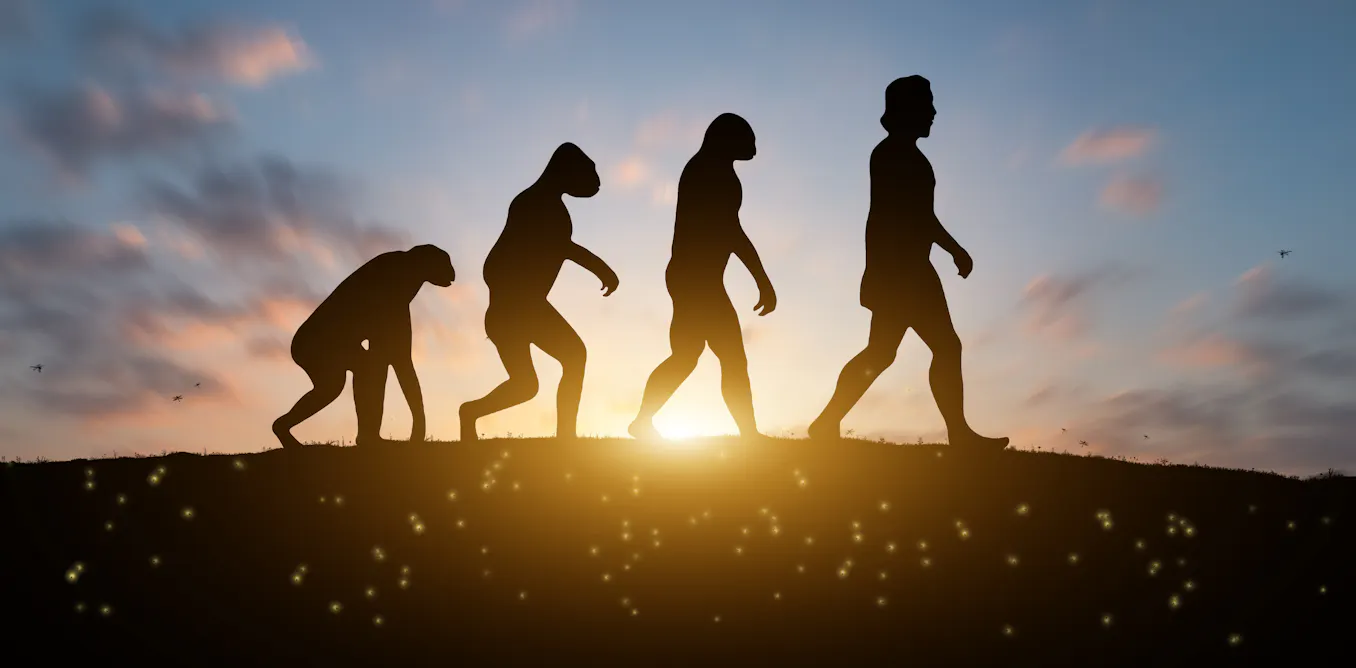 The human body isn’t a masterpiece of design – it’s a patchwork of evolutionary compromise