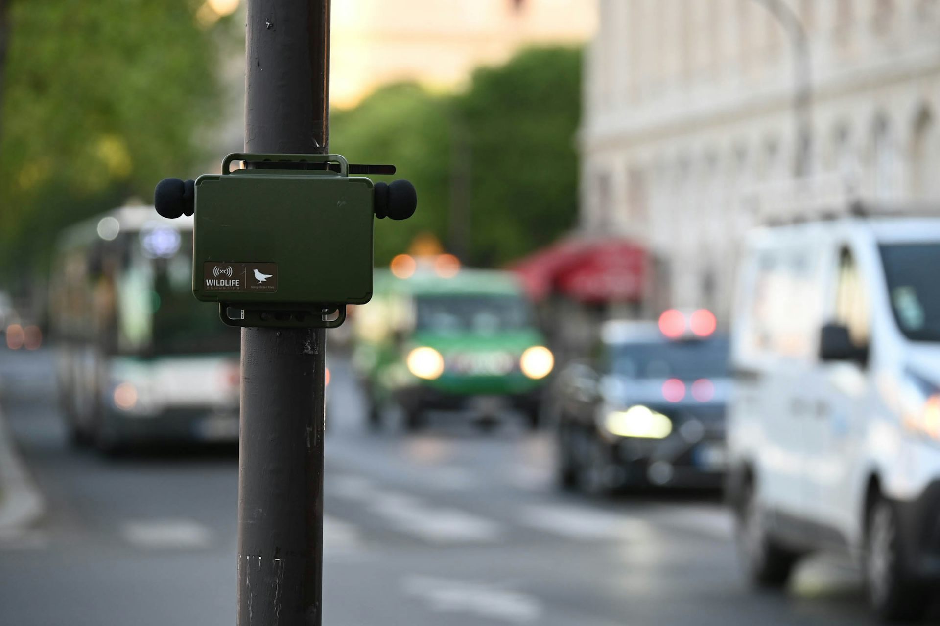 A black box attached to a lampost, with a picture of a bird on it. Traffic blurred in the background.