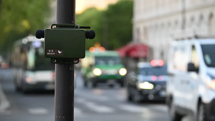 A black box attached to a lampost, with a picture of a bird on it. Traffic blurred in the background.