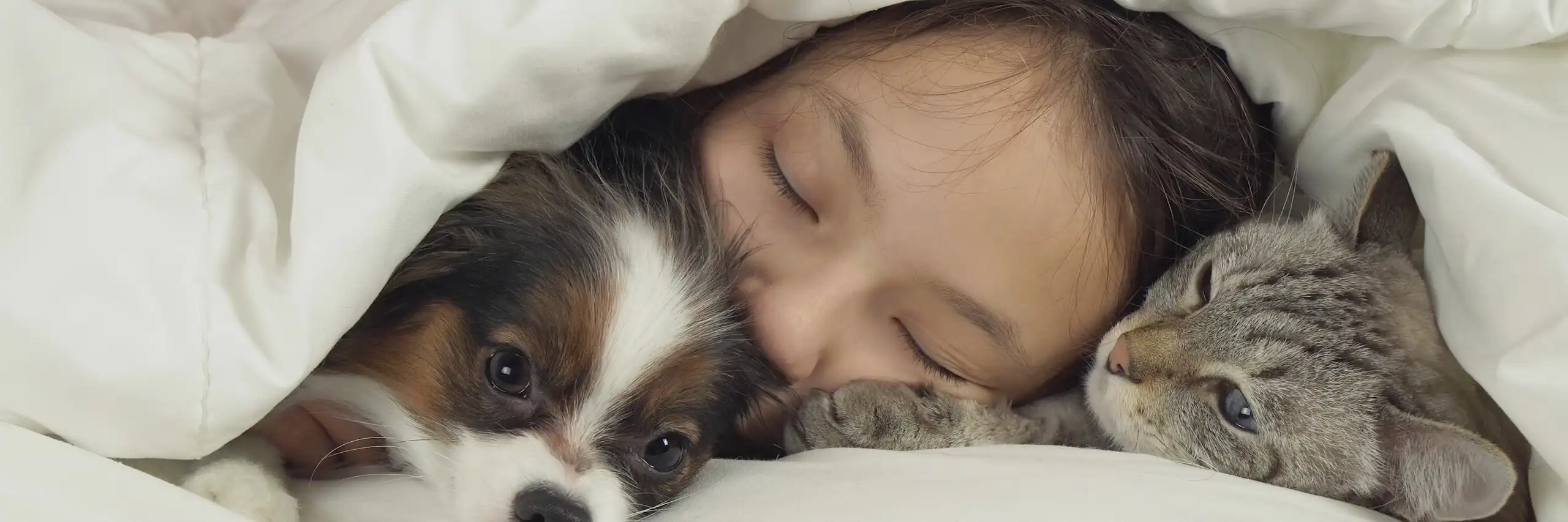 Une jeune fille est endormie sous sa couette, entourée par son chien et par son chat.
