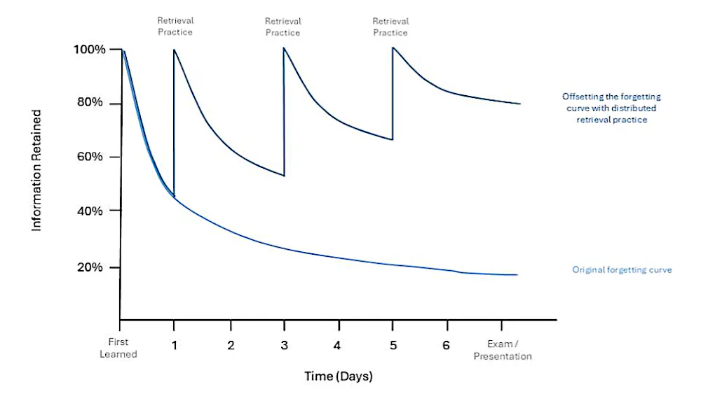 Memory Retention Rates Five tips to make your memory work more effectively