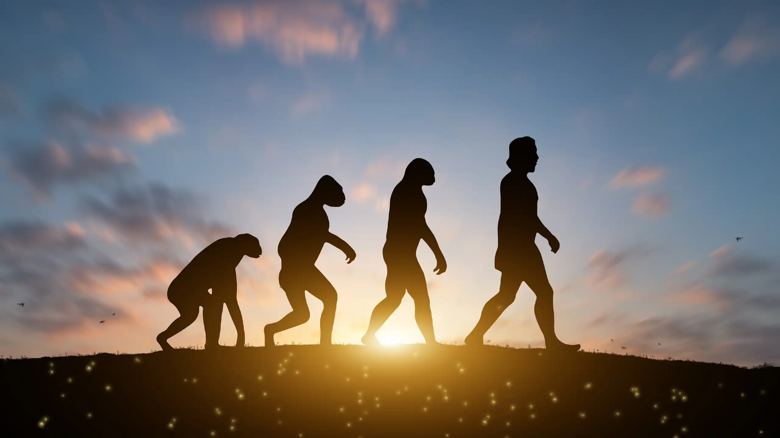 Uma representação da evolução humana, desde nossos ancestrais primatas até os seres humanos modernos, com quatro silhuetas caminhando para ilustrar cada fase distinta.