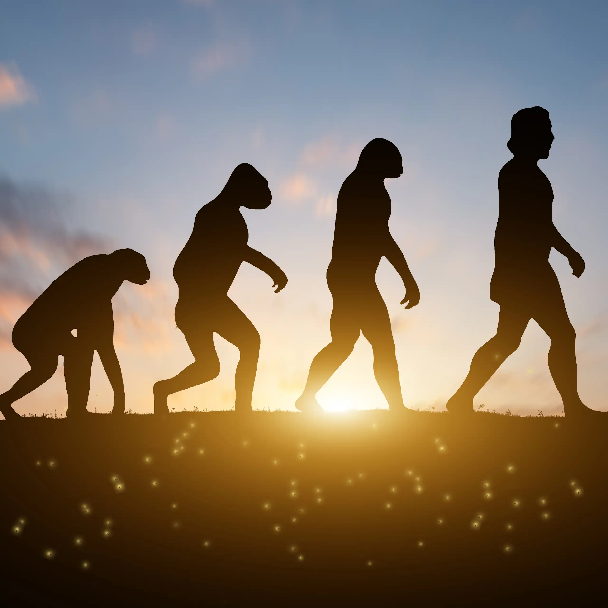 Uma representação da evolução humana, desde nossos ancestrais primatas até os seres humanos modernos, com quatro silhuetas caminhando para ilustrar cada fase distinta.