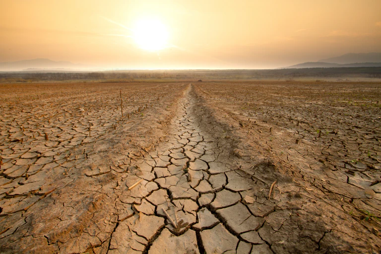 A drought-stricken land.