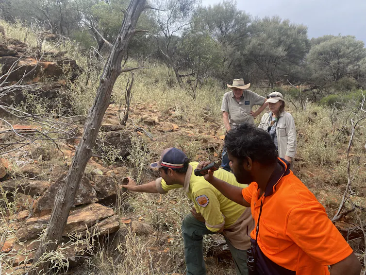 A group stand in rocky scrub, searing for kungaka