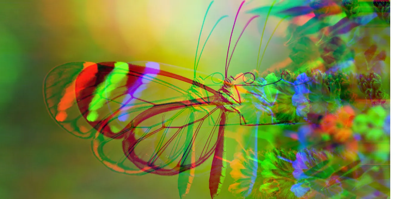 Anthropic Mythos Reveals Widespread Software Vulnerabilities