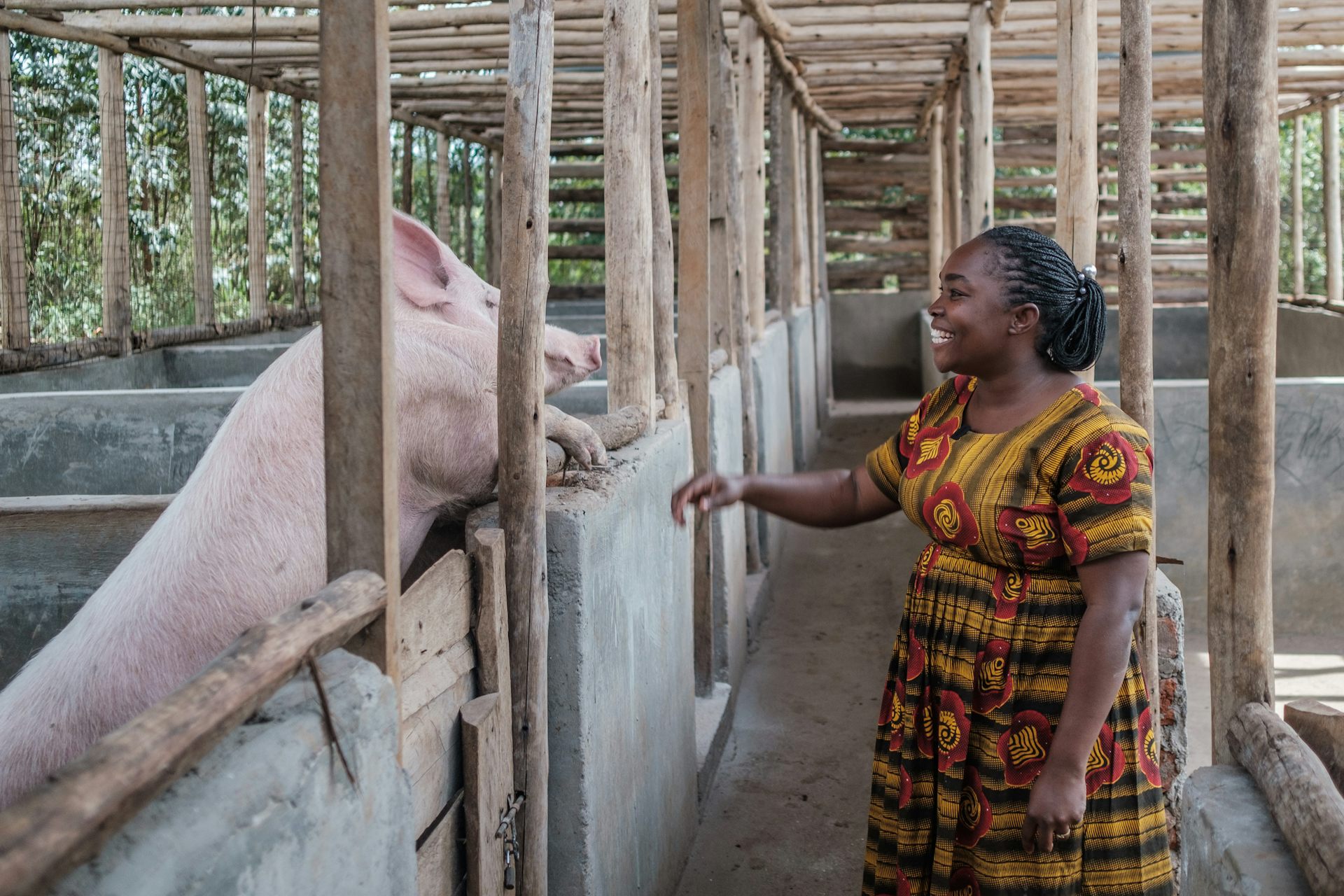 Women working in Uganda’s pig sector: how challenging prejudices can unlock opportunities – research