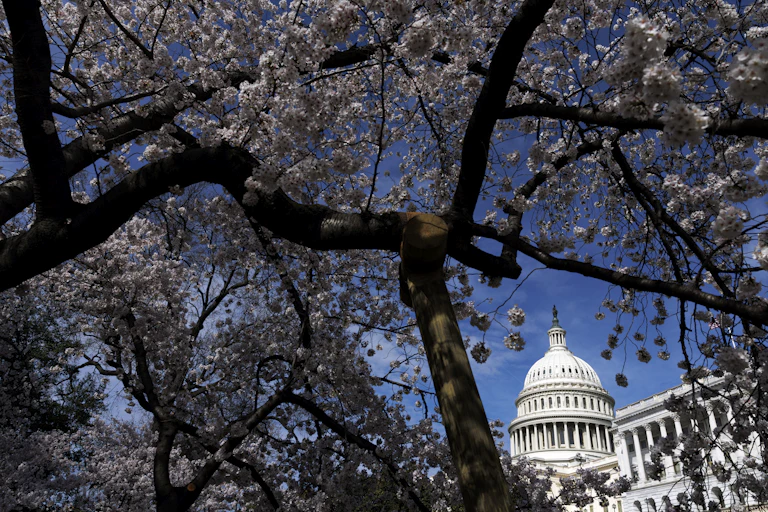 The US Capitol building in Washington.