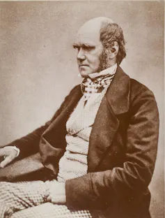 Fotografía en colores ocre de Charles Darwin vestido con chaqueta, chaleco y pantalón de cuadros sentado de perfil