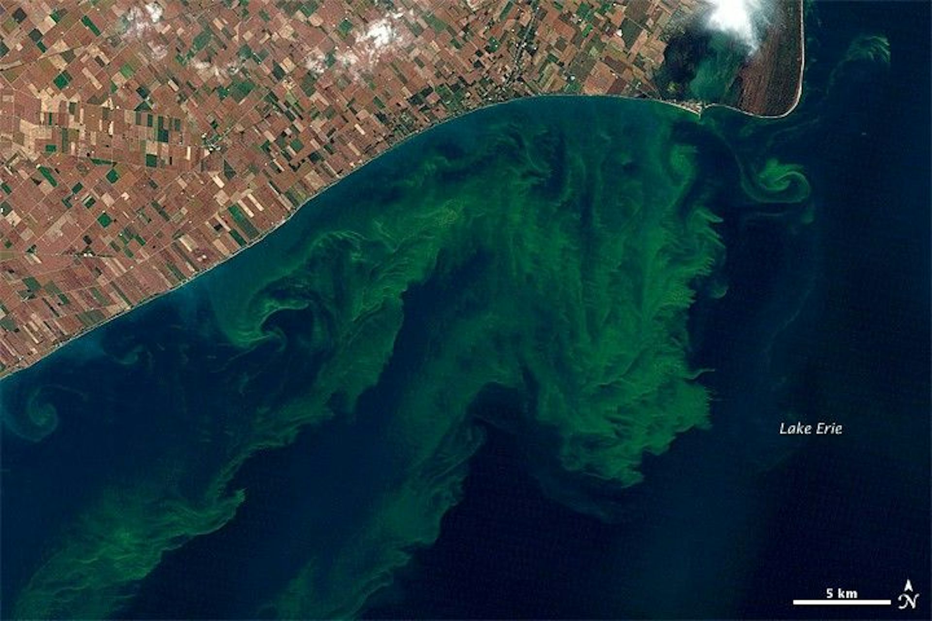 Una imagen de satélite que muestra la superficie azul del agua con manchas verdes debido a las algas.