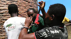 Three men next to a giant tree trunk about to push a small probe into the trunk to extract some of the tree's core.