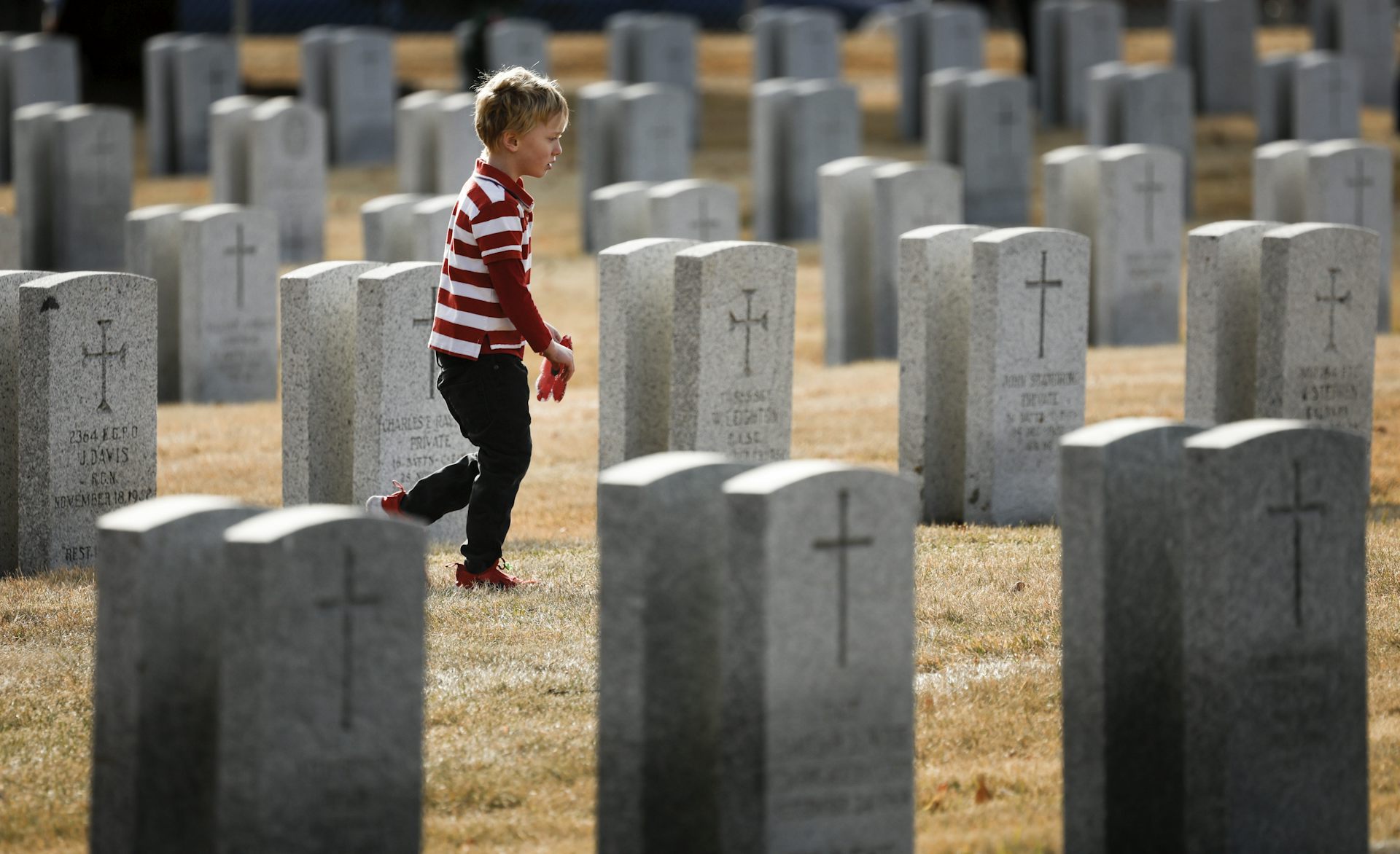 A boy in a red-and-white striped T-shirt carries a paper poppy through military grave markers.