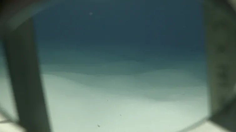 A view of the seabed shows soft sediment and ripples stretching off into the distance.