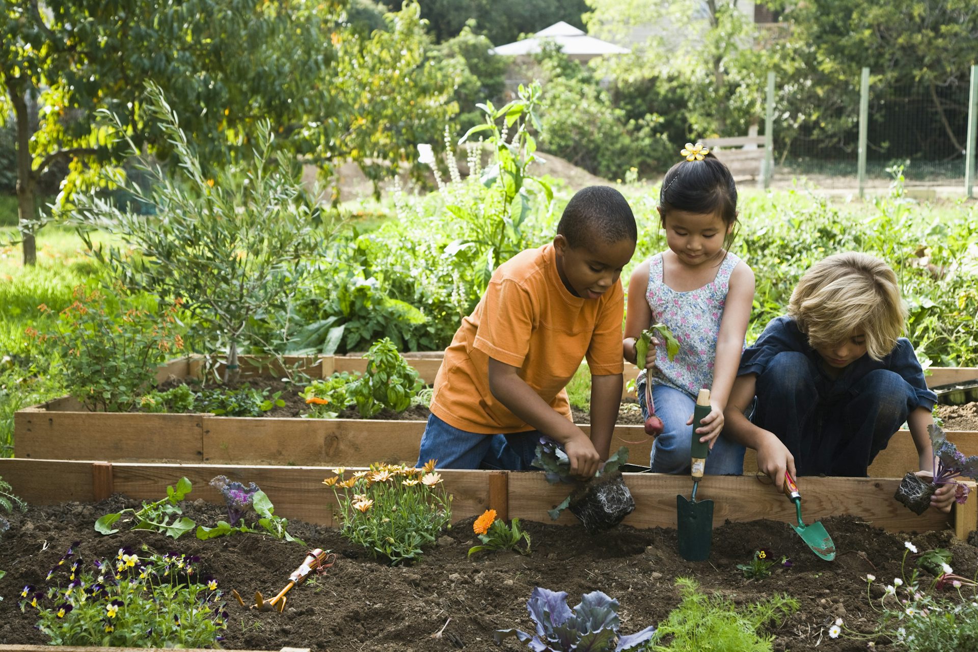 Autism diagnoses are up, largely fuelled by the NDIS. What happens next isn&rsquo;t entirely clear