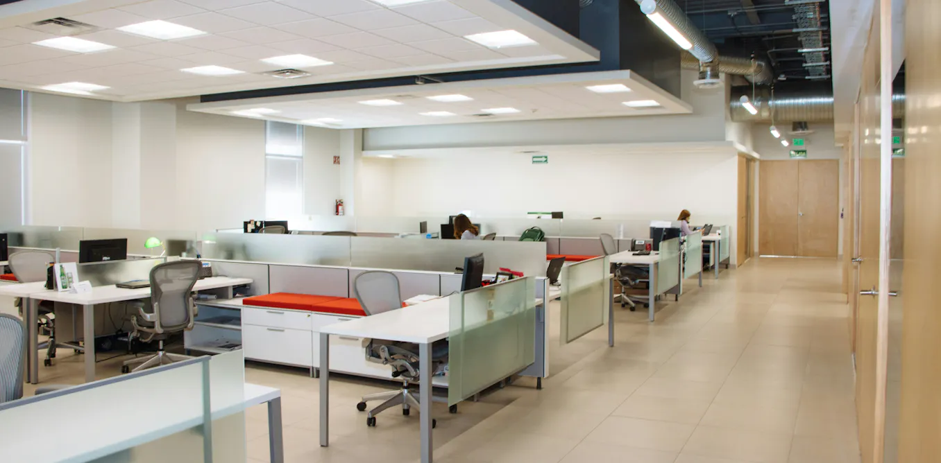 Employment Data Reveals Early AI Job Disruption