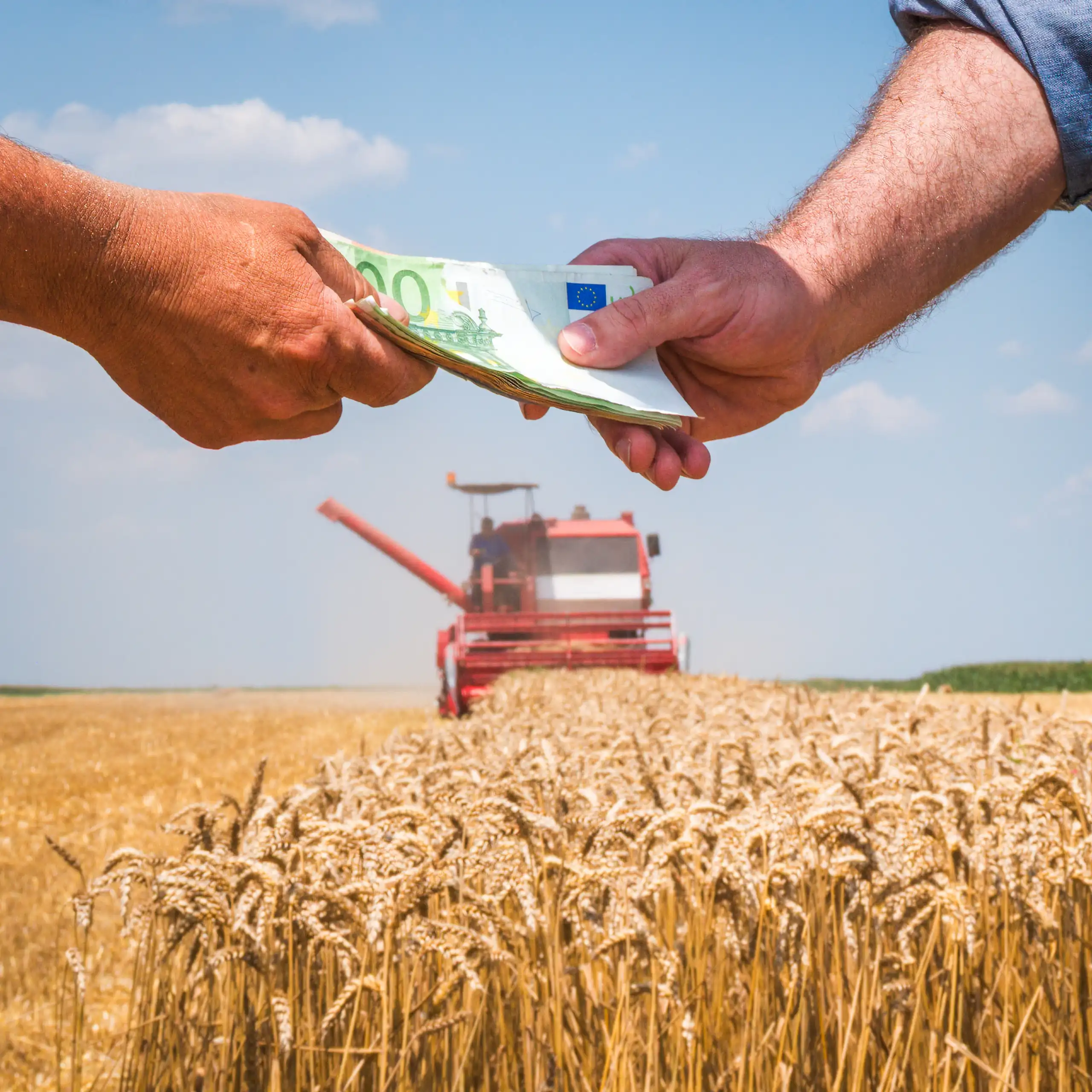 Deux hommes se donnant des billets d'euros devant un champ agricole.