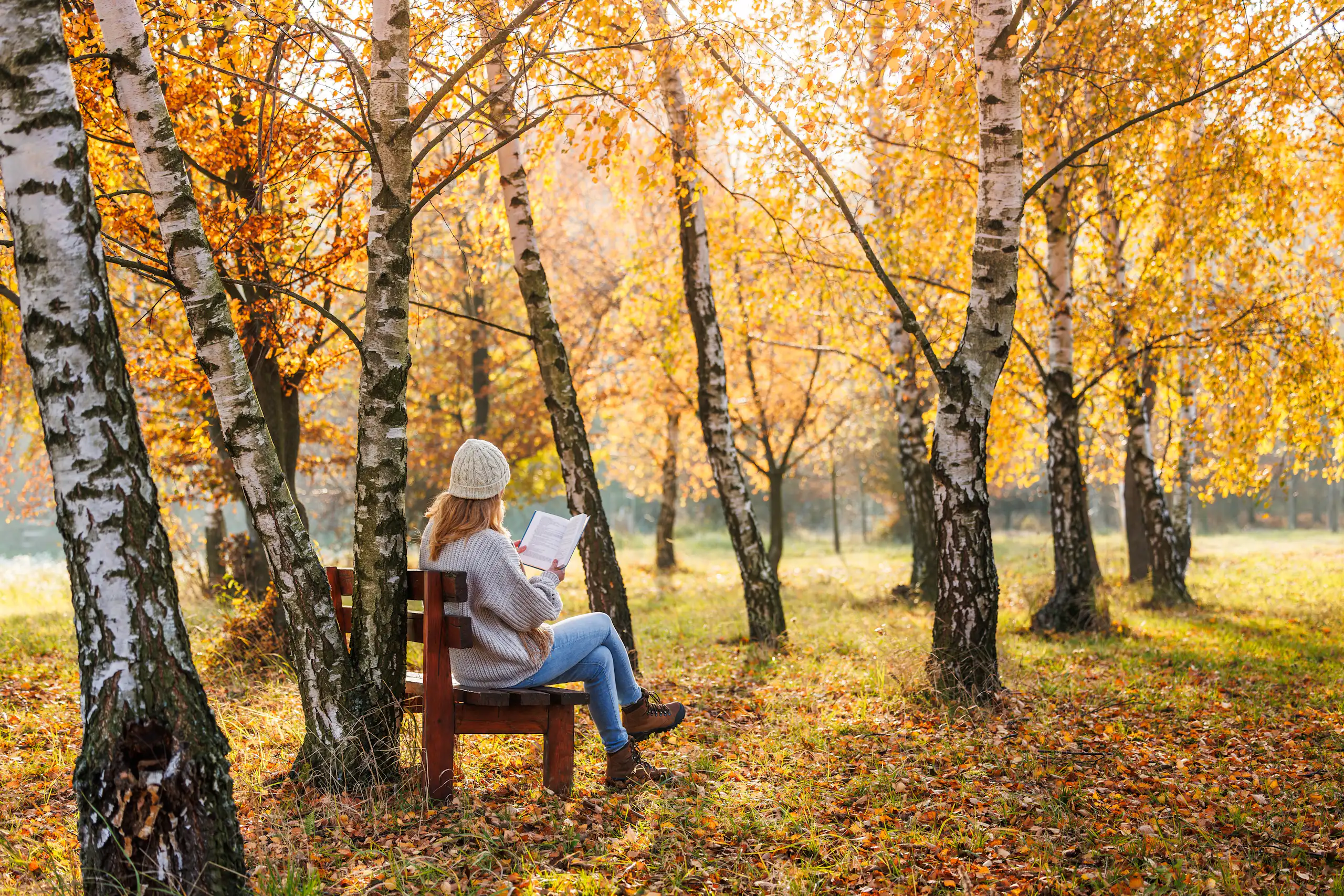 Una dona llig asseguda a un banc enmig d'un bosc.