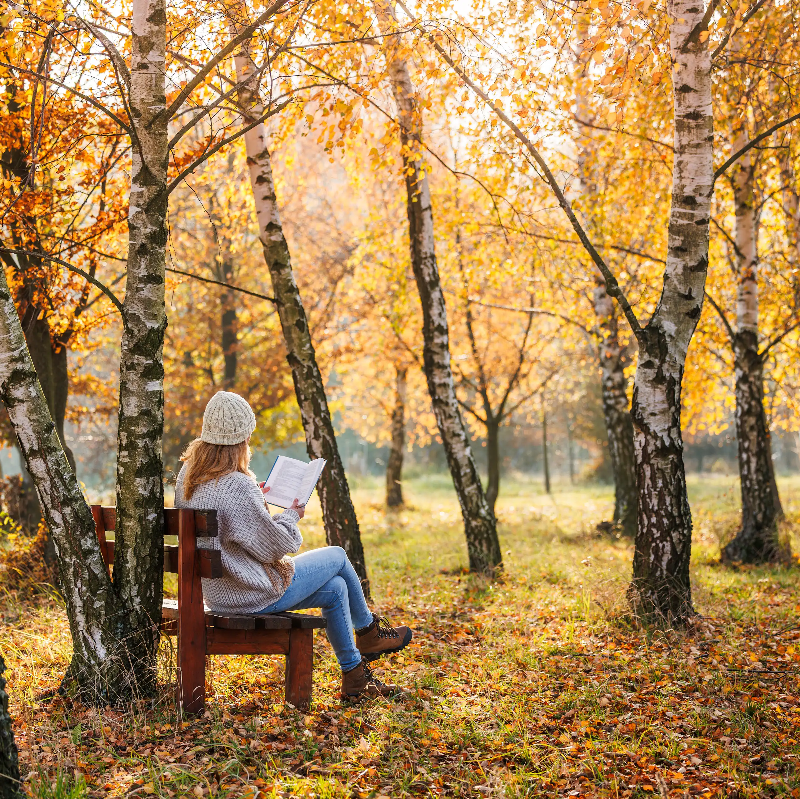 Una dona llig asseguda a un banc enmig d'un bosc.