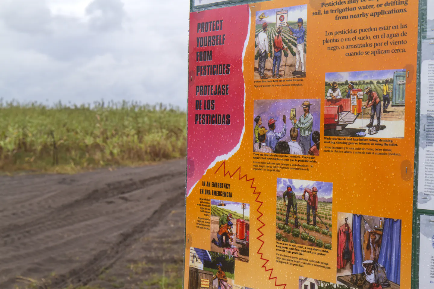 A red-and-orange sign that explains how to stay safe from pesticides in Spanish.
