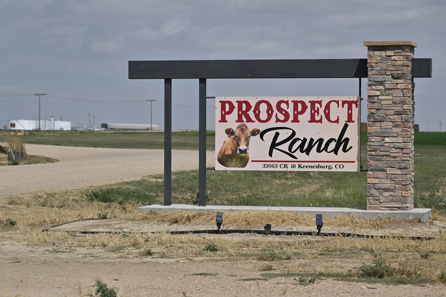 A sign with a cow that reads