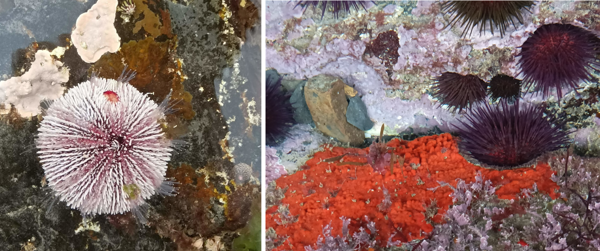 file 20260415 57 xelt.png?ixlib=rb 4.1