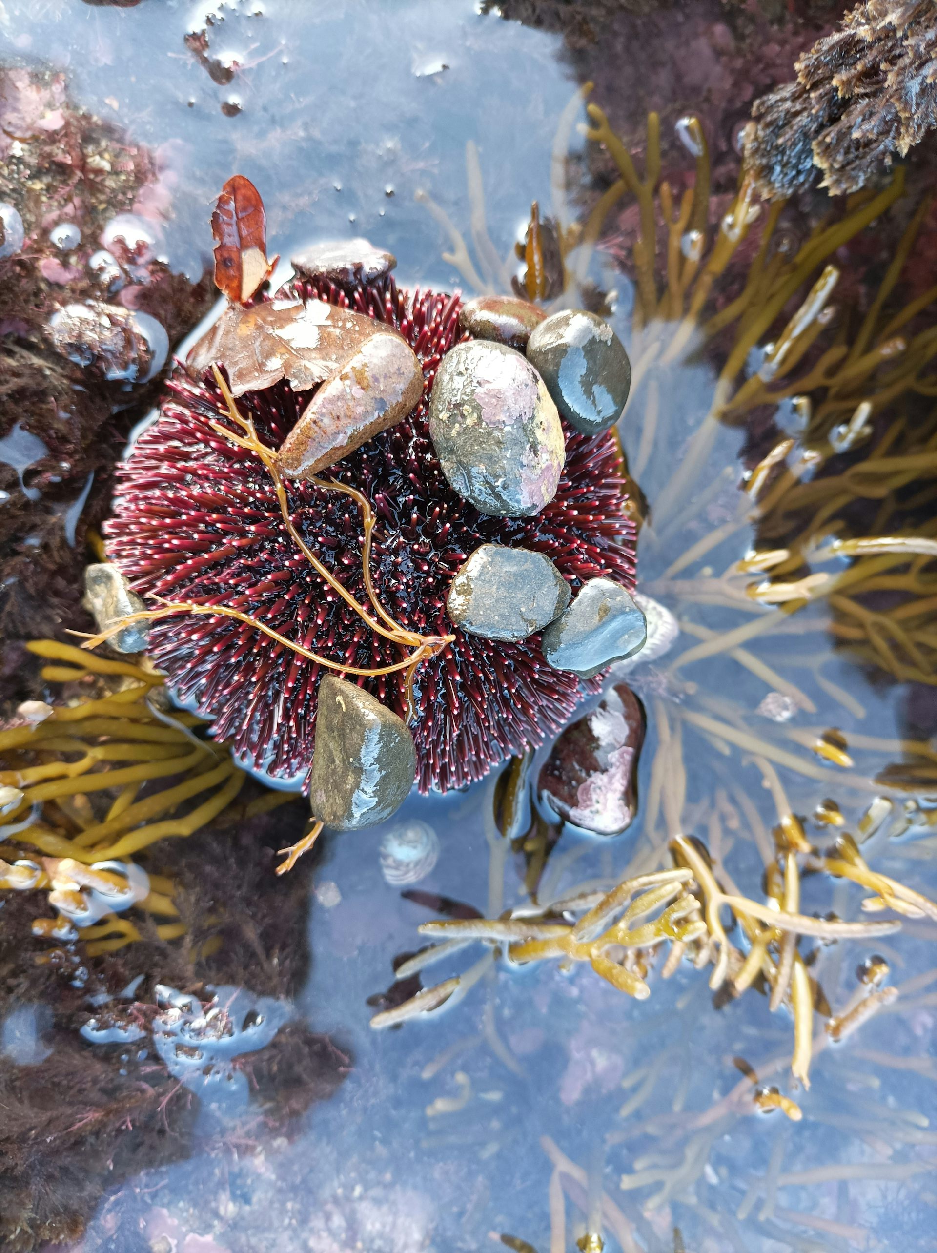 file 20260415 57 ktecms.jpg?ixlib=rb 4.1