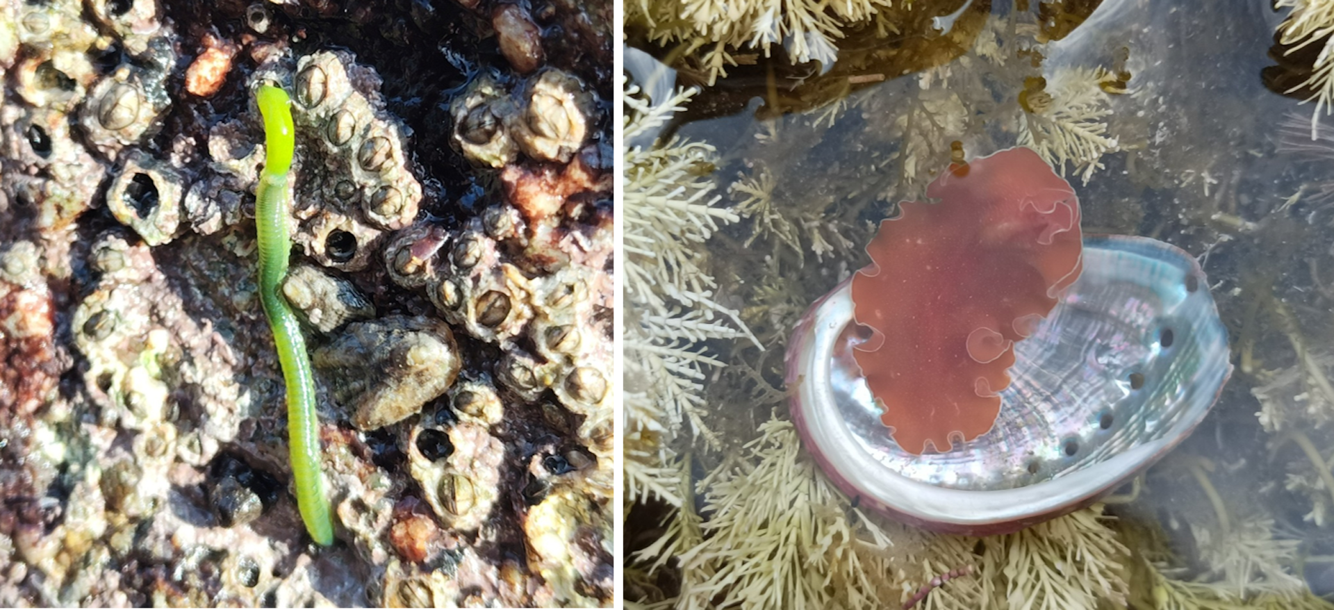 file 20260415 57 zrgrke.png?ixlib=rb 4.1