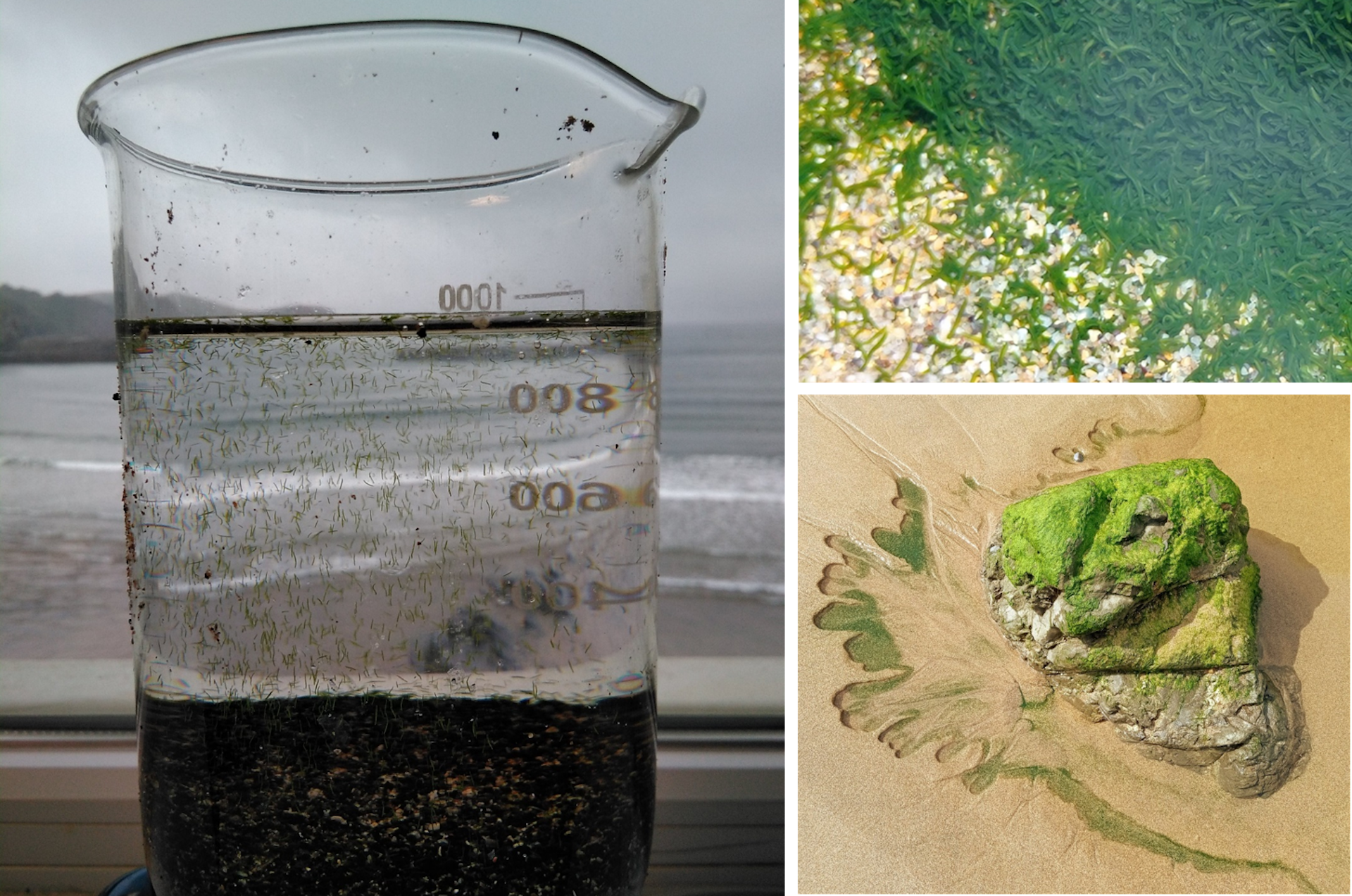 file 20260415 57 dtvmug.png?ixlib=rb 4.1