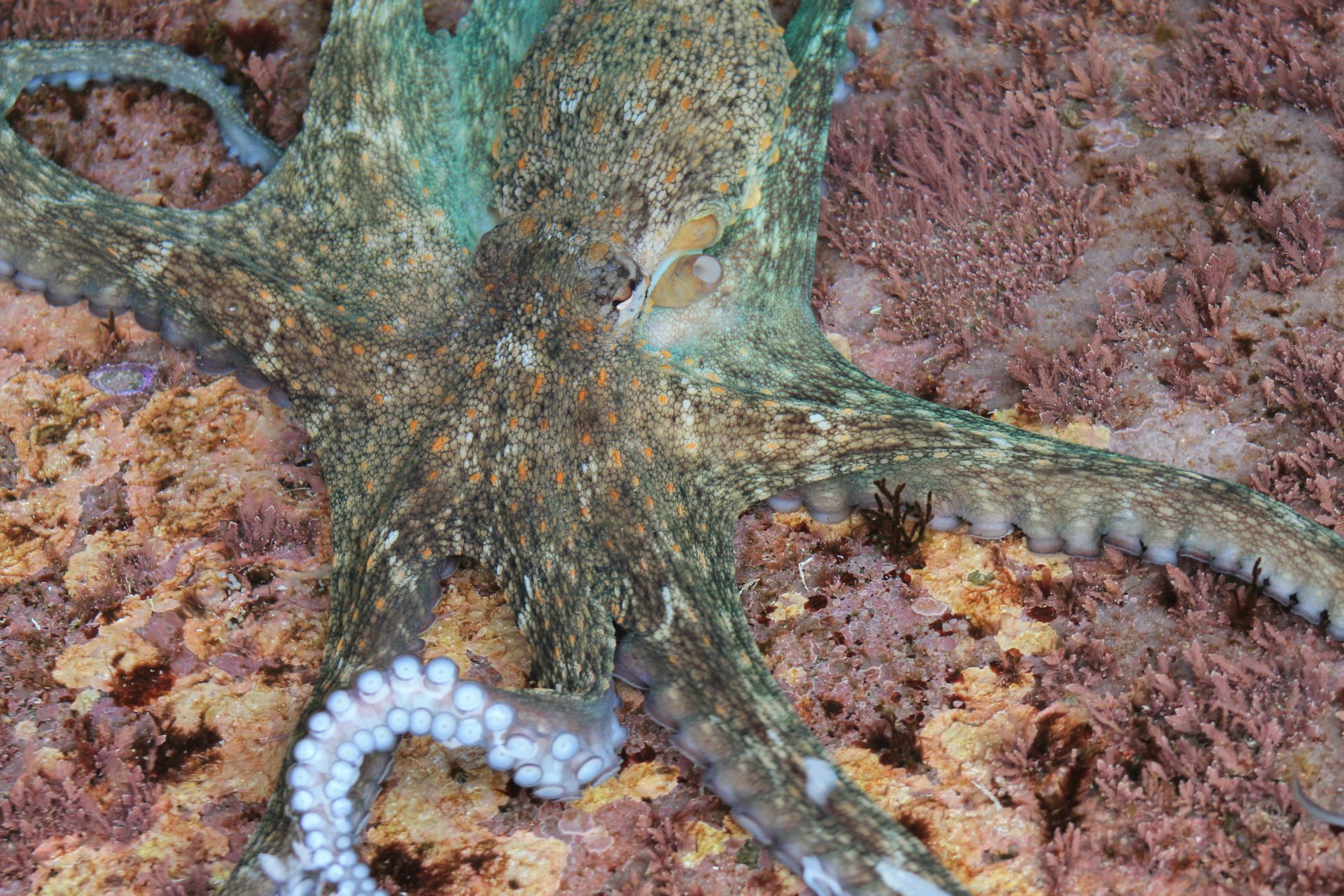 file 20260415 71 36evvl.JPG?ixlib=rb 4.1