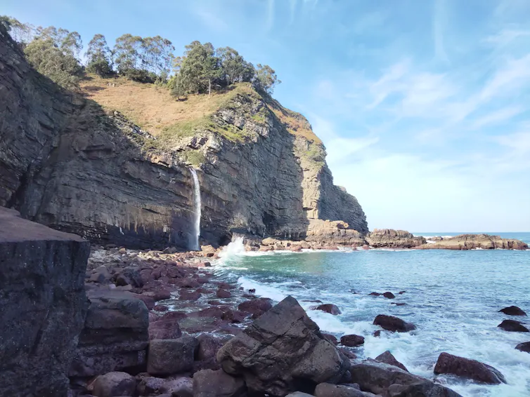 ¿Las mareas afectan a los animales acuáticos? 1 file 20260415 99 pdauvr.jpg?ixlib=rb 4.1