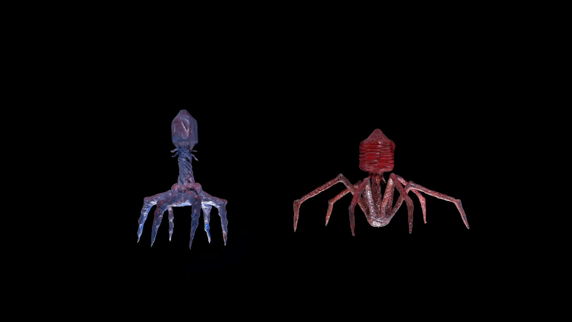 Bacteriophages: meet the viruses that hunt superbugs