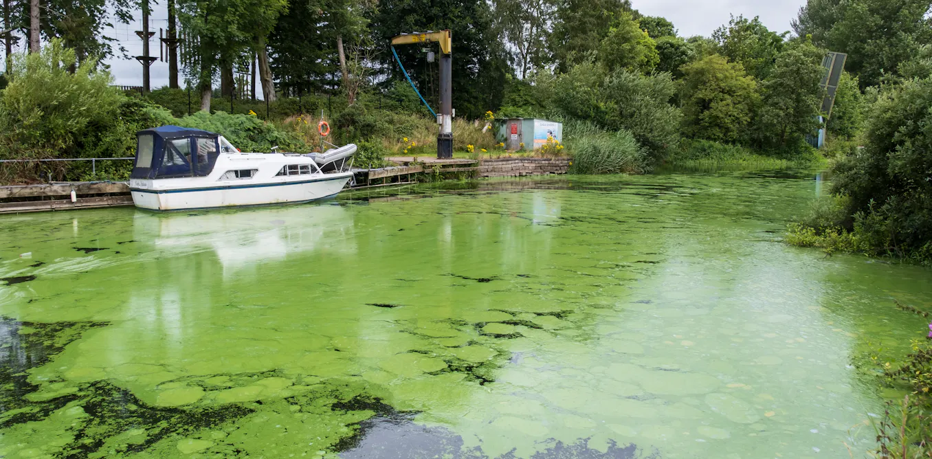 How commercial sand dredging is reshaping the largest lake in the UK – new study