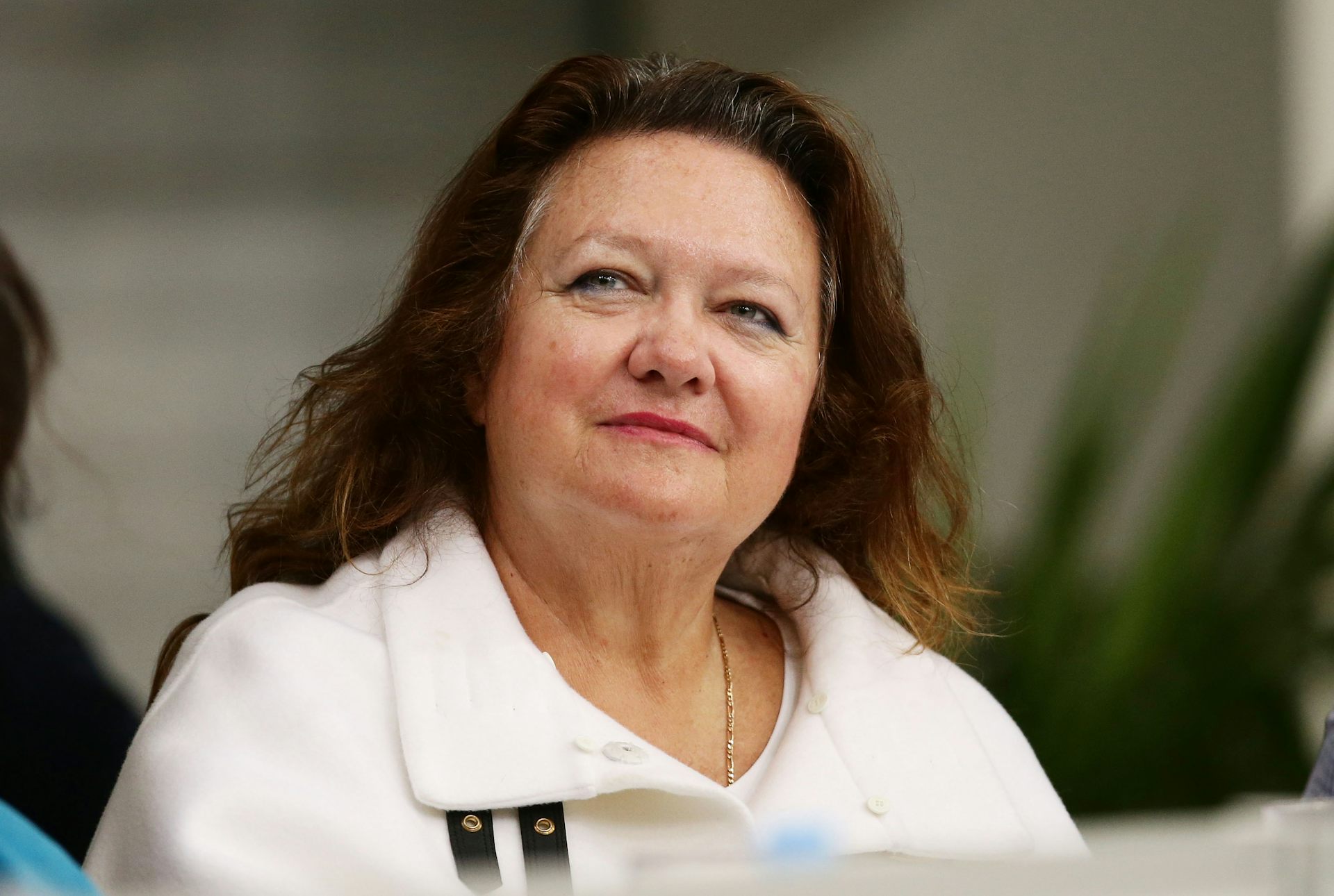 The court ruling in Gina Rinehart’s mining dispute reveals a lot about the nation’s inherited wealth