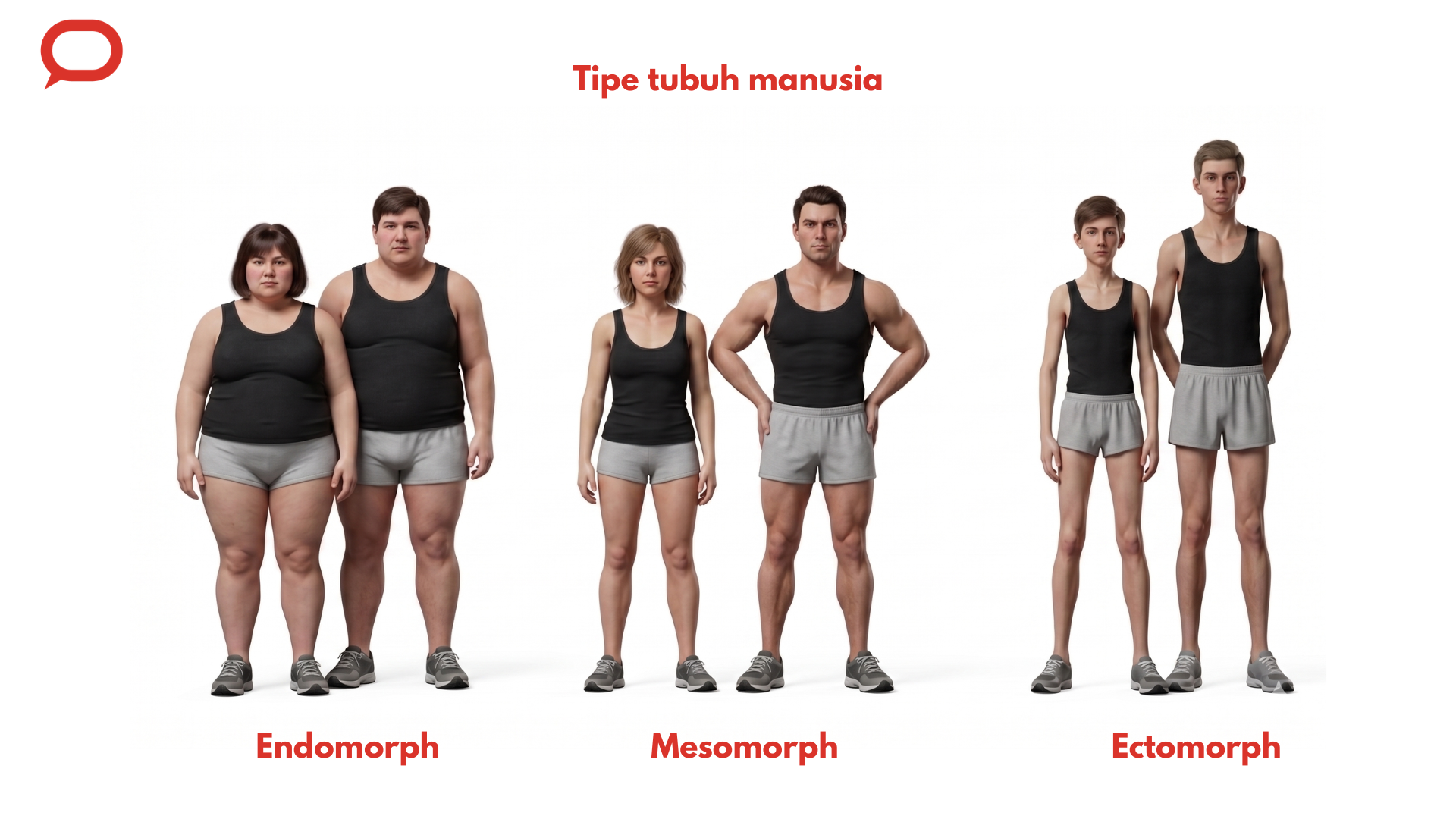 Tipe tubuh manusia.