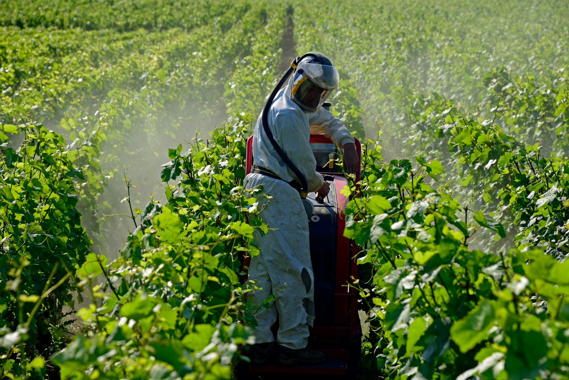Une pulvérisation de pesticides près de Dijon. 