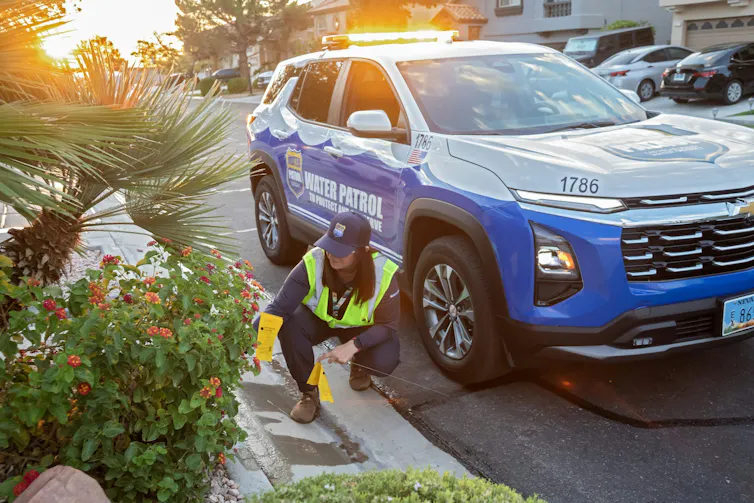 A woman in a reflective vest checks a plant along a street. Behind her, an SUV has the words 'Water Patrol' on the side