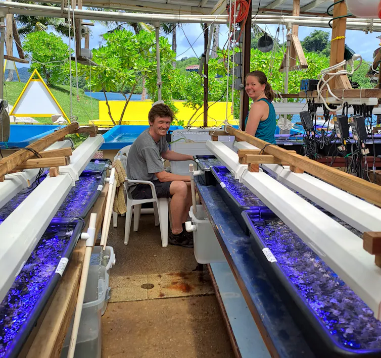two people in outside lab with containers full of coral