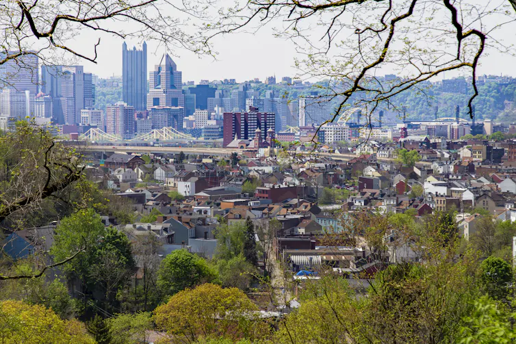 Elevated view of suburbs with city skyline in background.