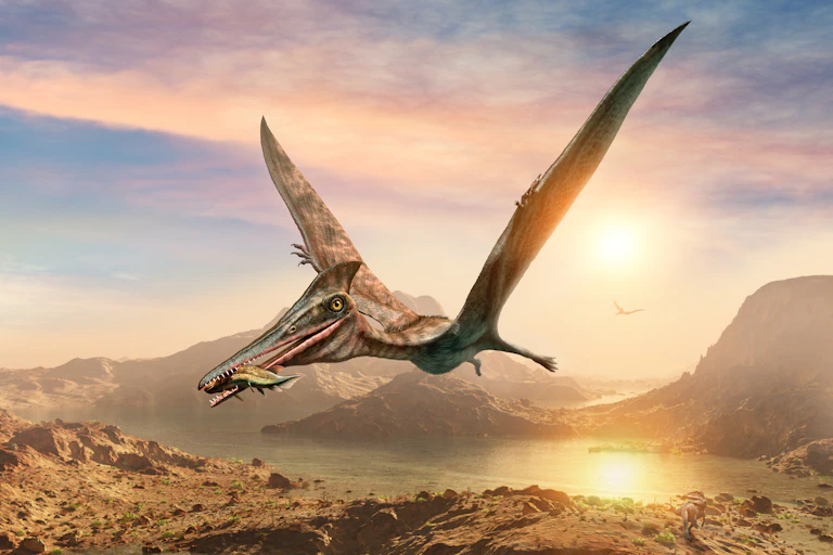 Artist's impression of a pterosaur with a fish in its mouth.