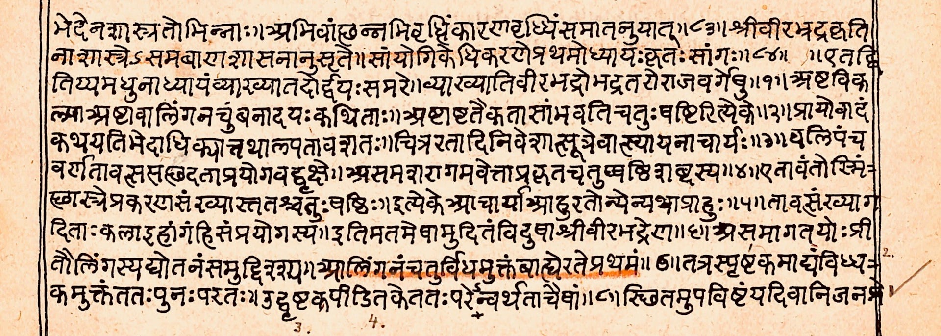 A Kamasutra manuscript page in Sanskri