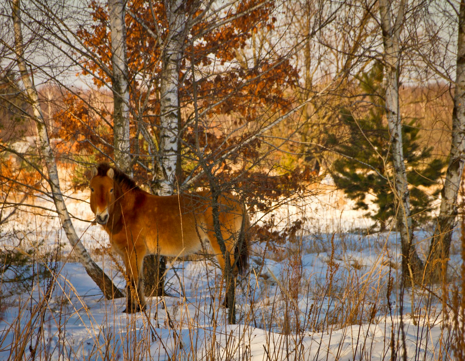 file 20260418 63 pekwub.jpg?ixlib=rb 4.1