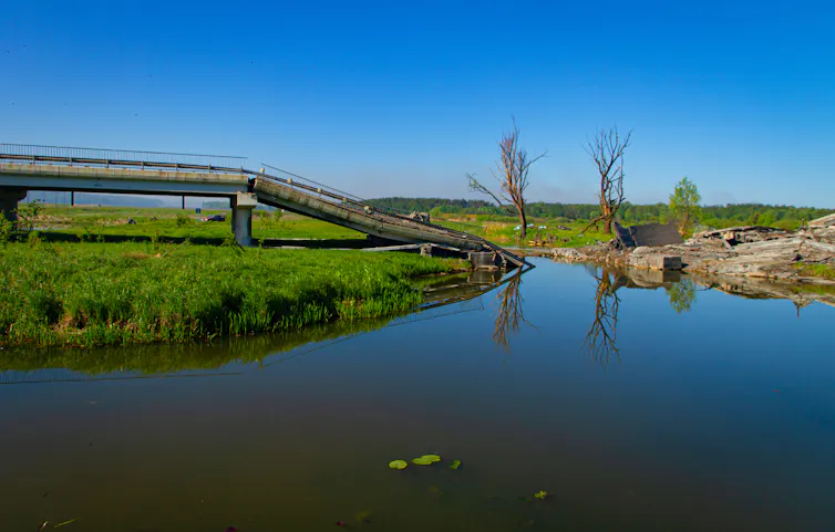 Chernóbil, 40 años después: un refugio natural en la guerra 4 file 20260419 77 ag77x4.jpg?ixlib=rb 4.1