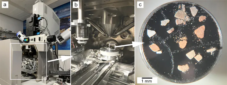 La sorprendente capacidad de las conchas de ostras y mejillones para atrapar tierras raras 2 file 20260419 57 i6dg4a.jpg?ixlib=rb 4.1