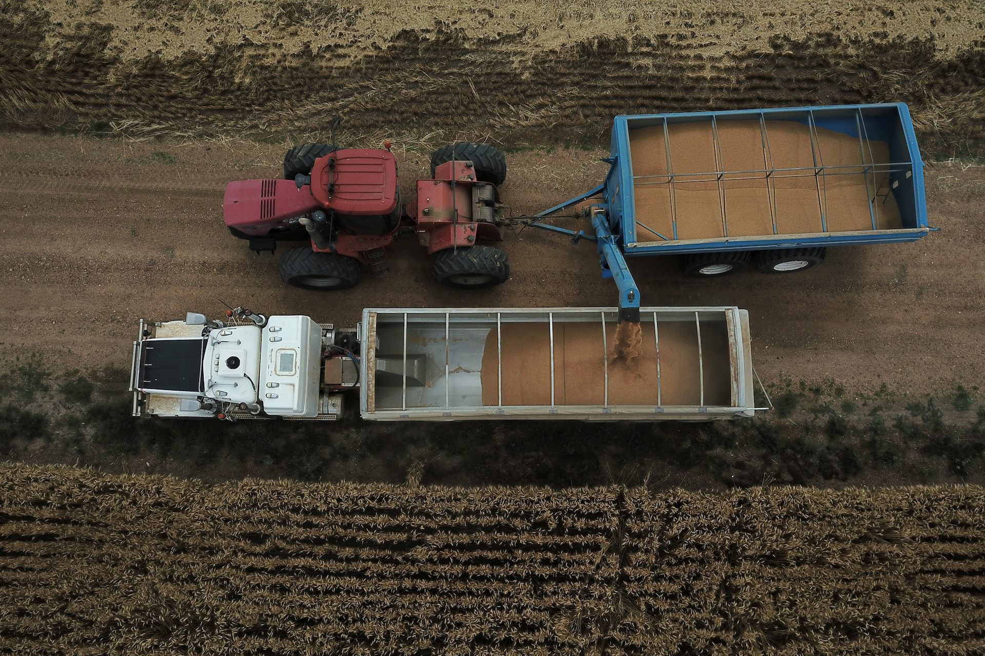 These shocks to Australia’s food system won’t be the last. Will it learn in time for the next one?