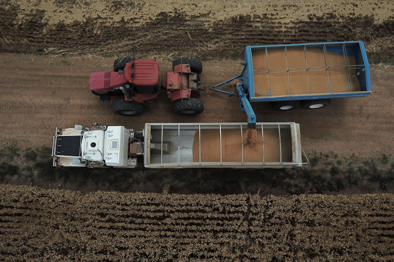 The wheat harvest gets under way on a farm in Australia.